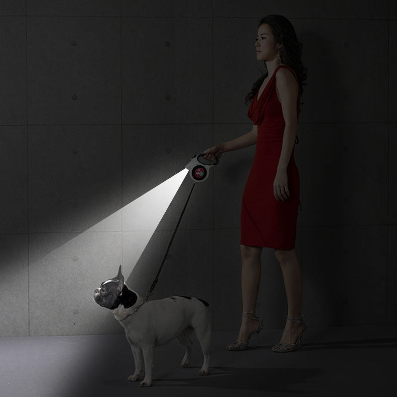 Automatic Retractable Cat Traction Belt Dog Hand Holding Rope Lengthened Dog Leash 5m Pet Supplies